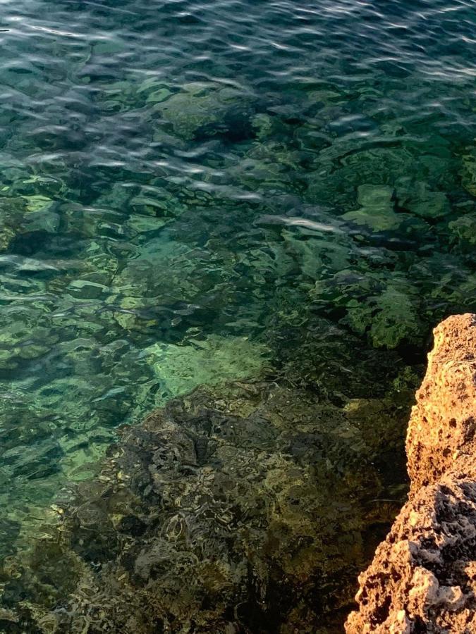 Casetta Albizia San Vito dei Normanni Buitenkant foto